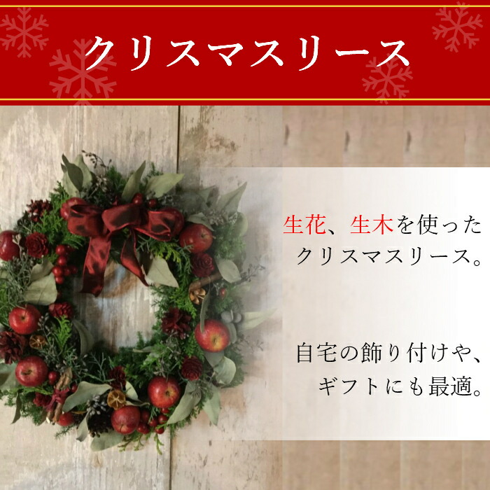 楽天市場 クリスマスリース 生花 装飾 部屋 インテリア 花 お花 自宅 プレゼント ギフト 女性 男性 クリスマス 飾り 新築祝い 引越し祝い 結婚 出産 おしゃれ かわいい 雑貨 ディスプレイ Hana Marche