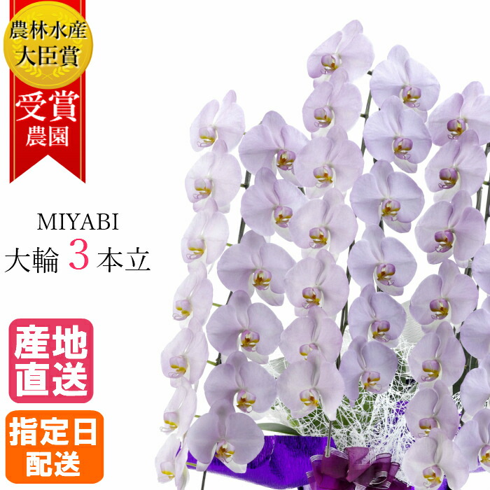 商いものすがた絵差し上げ物組織的運動 花・ガーデン・DIY-鉢花-花・観葉植物