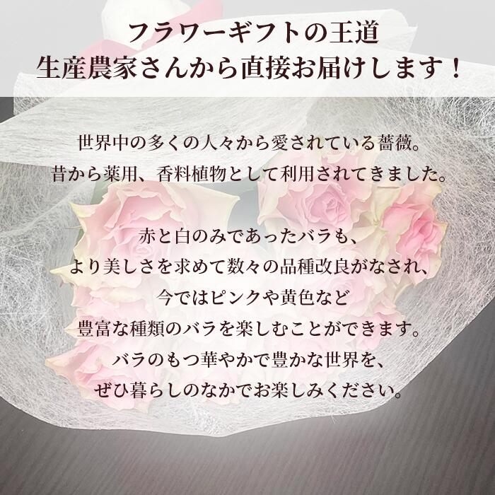 高品質 国産 バラ 30本 加工なし 薔薇 バラ 花束 花 はな ギフト プレゼント フラワーギフト お花 記念日 誕生日 女性 お祝い 祝い プレゼント バレンタイン ヴァレンタイン プロポーズ 高級 Rvcconst Com