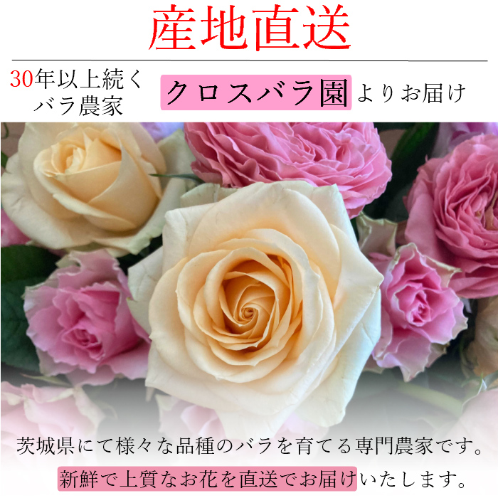 高品質 国産 バラ 30本 加工なし 薔薇 バラ 花束 花 はな ギフト プレゼント フラワーギフト お花 記念日 誕生日 女性 お祝い 祝い プレゼント バレンタイン ヴァレンタイン プロポーズ 高級 Rvcconst Com