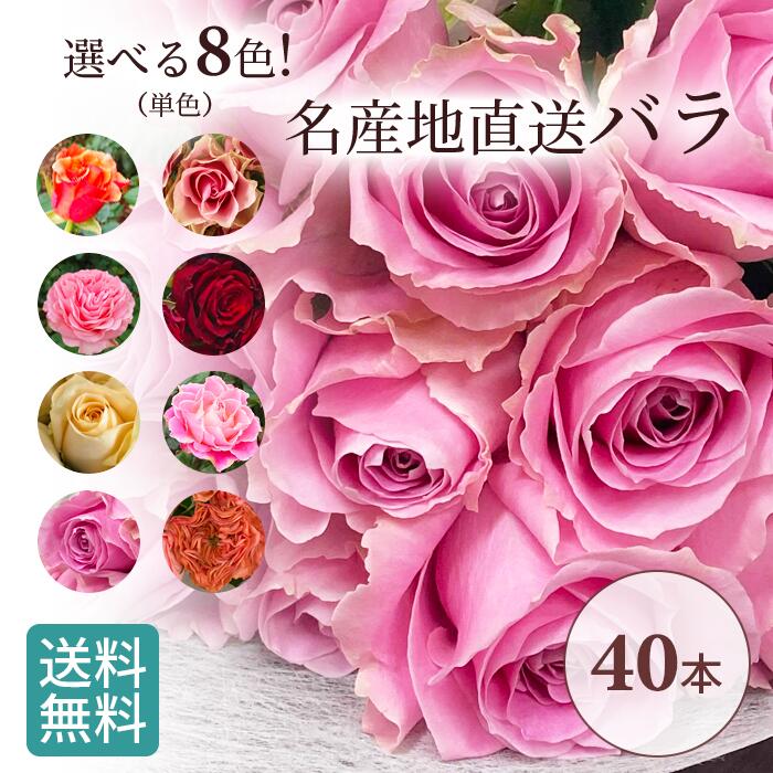 高品質 国産 バラ 40本 加工なし 薔薇 バラ 花束 花 はな ギフト プレゼント フラワーギフト お花 記念日 誕生日 贈り物 母 義母 女性 還暦祝い お祝い 祝い プレゼント 古希 喜寿 米寿 傘寿 お供え バレンタイン ヴァレンタイン いい夫婦の日 高品質 国産 バラ 40本 加工なし 薔薇 バラ 花束 花 はな ギフト プレゼント フラワーギフト お花 記念日 誕生日 贈り物 母 義母 女性 還暦祝い お祝い 祝い プレゼント 古希 喜寿 米寿 傘寿 お供え バレンタイン ヴァレンタイン いい夫婦の日