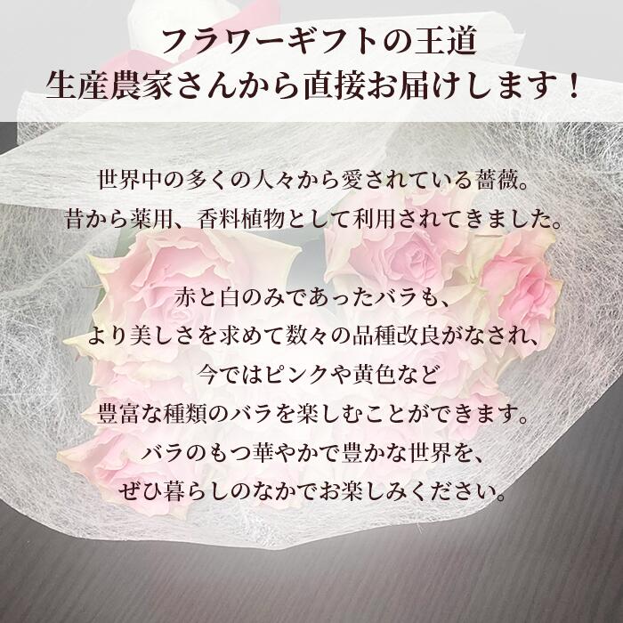 高品質 国産 バラ 40本 加工なし 薔薇 バラ 花束 花 はな ギフト プレゼント フラワーギフト お花 記念日 誕生日 贈り物 母 義母 女性 還暦祝い お祝い 祝い プレゼント 古希 喜寿 米寿 傘寿 お供え バレンタイン ヴァレンタイン いい夫婦の日