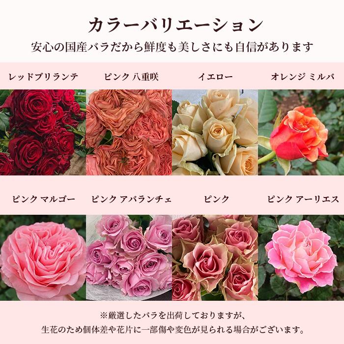 高品質 国産 バラ 40本 加工なし 薔薇 バラ 花束 花 はな ギフト プレゼント フラワーギフト お花 記念日 誕生日 贈り物 母 義母 女性 還暦祝い お祝い 祝い プレゼント 古希 喜寿 米寿 傘寿 お供え バレンタイン ヴァレンタイン いい夫婦の日