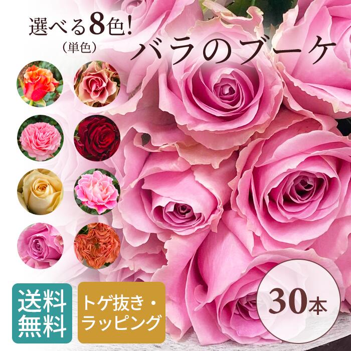 バラ 30本 ラッピング済 トゲぬき済 薔薇 花 はな ギフト プレゼント フラワーギフト お花 誕生日 贈り物 母 義母 女性 還暦祝い お祝い 祝い プレゼント 古希 喜寿 米寿 傘寿 お供え バレンタイン ヴァレンタイン いい夫婦の日 プロポーズ 高級 高品質 女性 バラ 30本 ラッピング済 トゲぬき済 薔薇 花 はな ギフト プレゼント フラワーギフト お花 誕生日 贈り物 母 義母 女性 還暦祝い お祝い 祝い プレゼント 古希 喜寿 米寿 傘寿 お供え バレンタイン ヴァレンタイン いい夫婦の日 プロポーズ 高級 高品質 女性