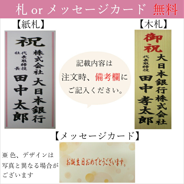 大輪胡蝶蘭 白 3本立 30輪以上 2l 大輪 胡蝶蘭 生花 花 指定日配送 誕生日 プレゼント ギフト 女性 お祝い 祝い 御祝 開店祝い 開業祝い 移転祝い 栄転祝い 新築祝い 引越祝い 落成祝い Prescriptionpillsonline Is