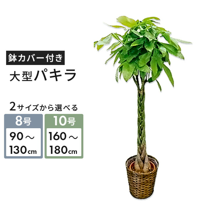 商いものすがた絵差し上げ物社会的運動