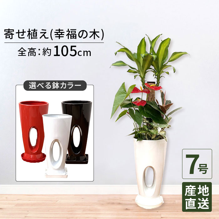 商いものすがた絵差し上げ物社会的運動