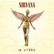 楽天市場】【輸入盤】 Nirvana ニルバーナ / In Utero: 20th
