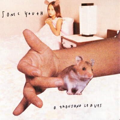Sonic Youth ソニックユース / Thousand Leaves (アナログレコード) 【LP】