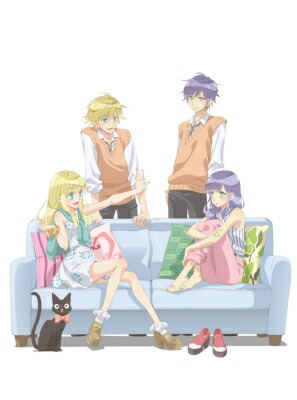 TVアニメ「Super Seisyun Brothers -超青春姉弟s-」 【DVD】画像