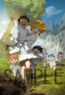 送料無料 約束のネバーランド 1 贈る結婚祝い DVD 完全生産限定版 ●日本正規品●
