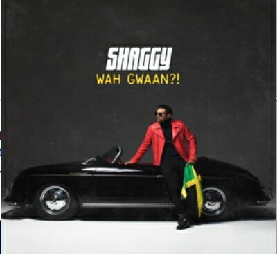 Shaggy シャギー / Wah Gwaan?! (2枚組アナログレコード） 【LP】