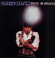 Little Steven / Voice Of America 【LP】