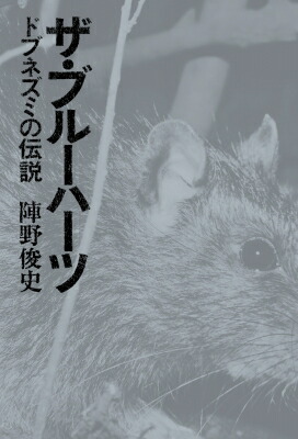 【中古】 ドブネズミの詩（うた）/角川書店/ザ・ブルーハーツ ドブネズミの詩 (角川文庫 ふ 11-1) | ザ・ブルーハーツ |本