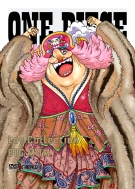 希少 One Piece Log Collection Big Mom Dvd Hmv Books Online 1号店 現金特価 Www World Of Heating De