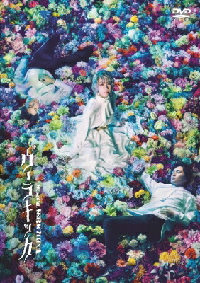 ミュージカル『ヴェラキッカ』DVD 通常版 【DVD】