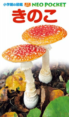 楽天市場】小学館の図鑑NEO (17)きのこｽﾞｶﾝNEOｷﾉｺ【小学館