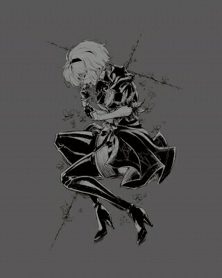 NieR: Automata Ver1.1a Blu-ray Disc BOX Vol.1【完全生産限定版】 【BLU-RAY DISC】 21,743円