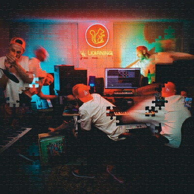 Evidence / Unlearning Vol. 2 【LP】