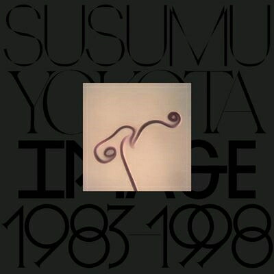 Susumu Yokota ススムヨコタ / Image 1983-1998 (Skintone Edition)（アナログレコード） 【LP】｜HMV＆BOOKS online 1号店