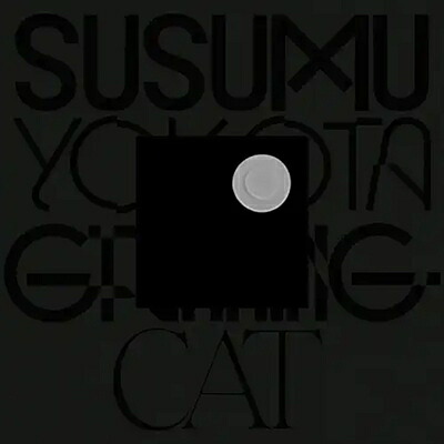 Susumu Yokota ススムヨコタ / Grinning Cat (Skintone Edition) 【12inch】｜HMV＆BOOKS online 1号店