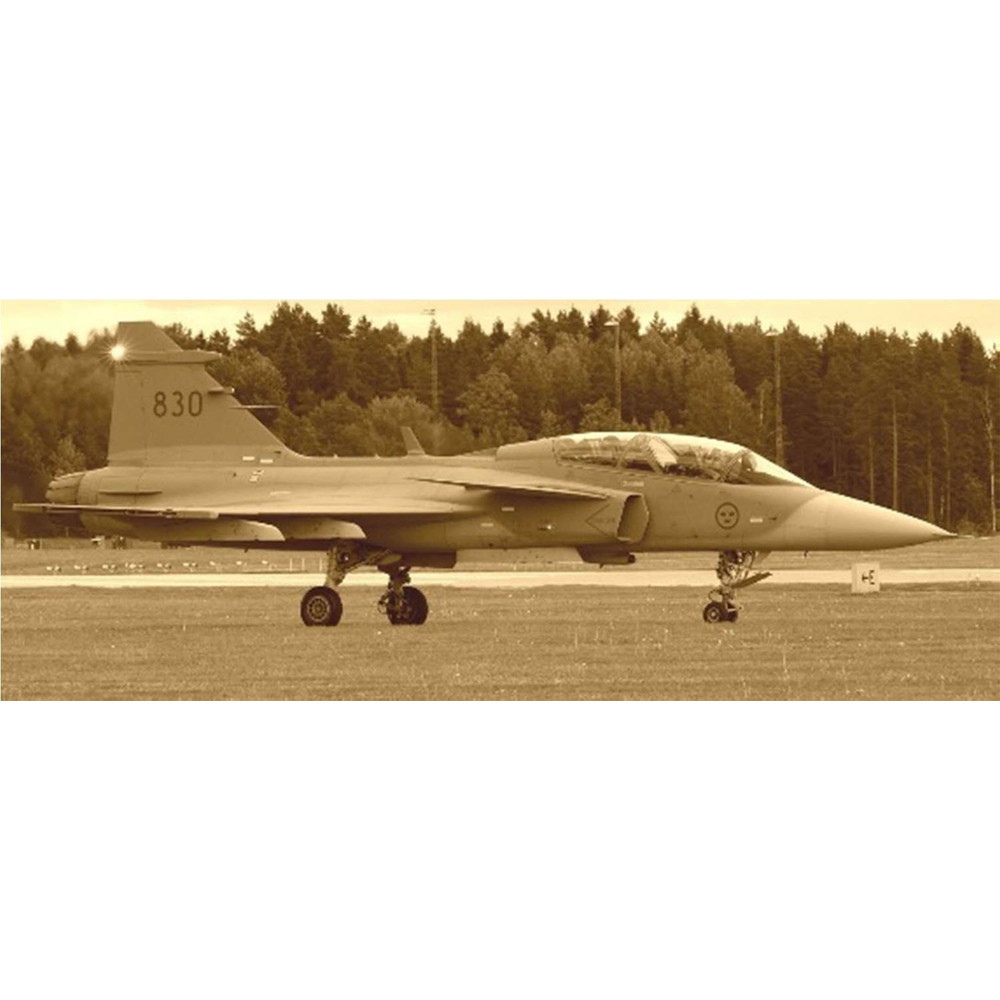 【完成品】イタレリ 1/48 JAS39 サーブ グリペン 複座型 SAAB JAS 39 Gripen (イタレリ1/48)＞ 特集 イタレリ＞2020年8月号
