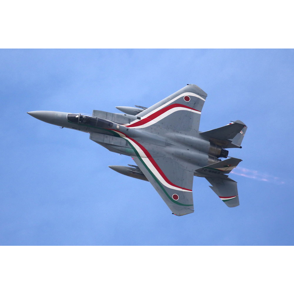 楽天市場】1/72 航空自衛隊 F-15J イーグル 第305飛行隊 日仏