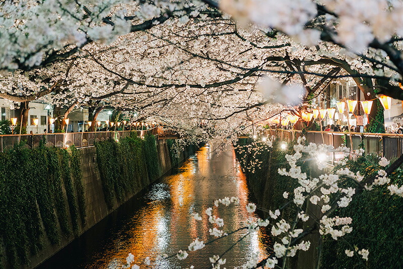 アートパネル アートフレーム 壁掛け インテリア 壁紙 装飾フィルム Artmart アートマート アートポスターやアートボード アートパネル アートボード ファブリックパネルで部屋をおしゃれに モダン アンティーク アンティーク 海 写真 イラスト モノクロ ポスター 絵