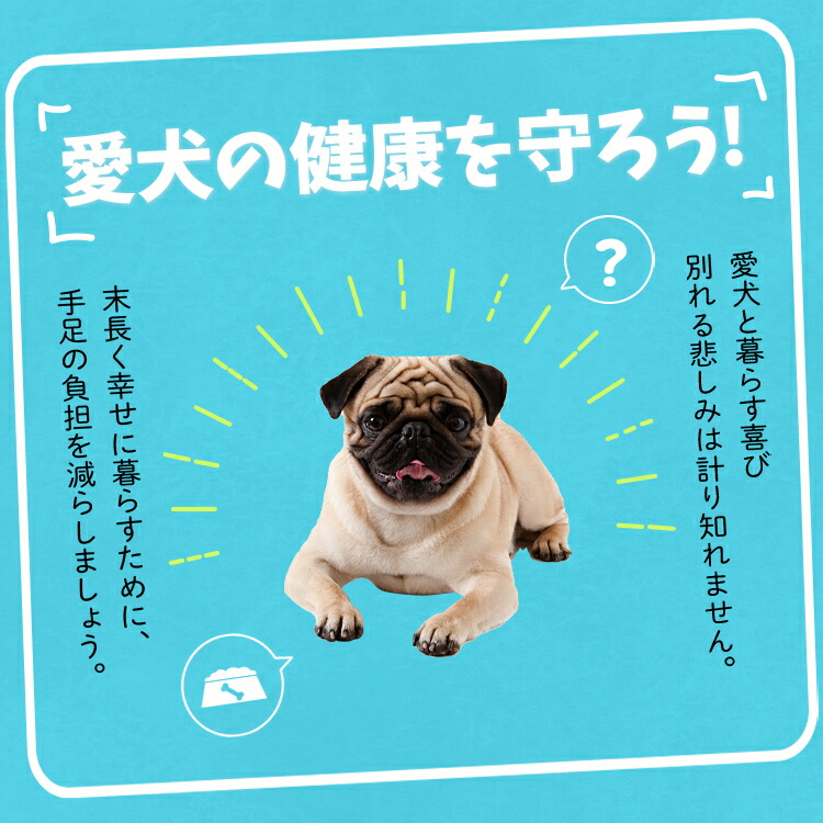 人気定番の ドッグステップ 犬 ペット 階段 スロープ 犬用 ステップ 踏み台 犬の階段 ミニチュアダックス トイプードル チワワ 柴犬 子犬 小型犬 室内犬 シニア犬 高齢犬 老犬 猫 介護用品 ペット用品 ドックステップ ドッグアシスト Fucoa Cl