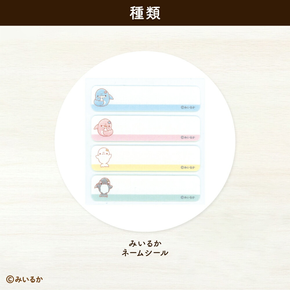 楽天市場】みいるか ししゅう缶バッジ : Hobby plus