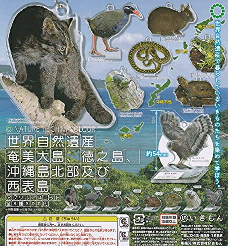 楽天市場】【送料無料】ネイチャーテクニカラー 鳥羽水族館立体