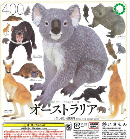 楽天市場】【送料無料】ネイチャーテクニカラー 鳥羽水族館立体