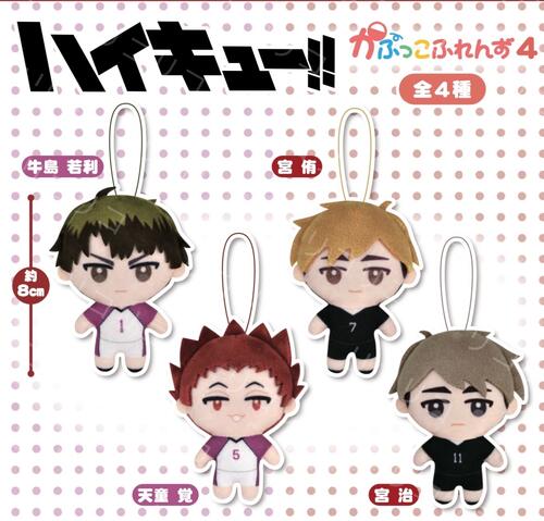 ハイキュー てのりんず 全10種コンプセット ハイキュー てのりんず 全10種コンプセット