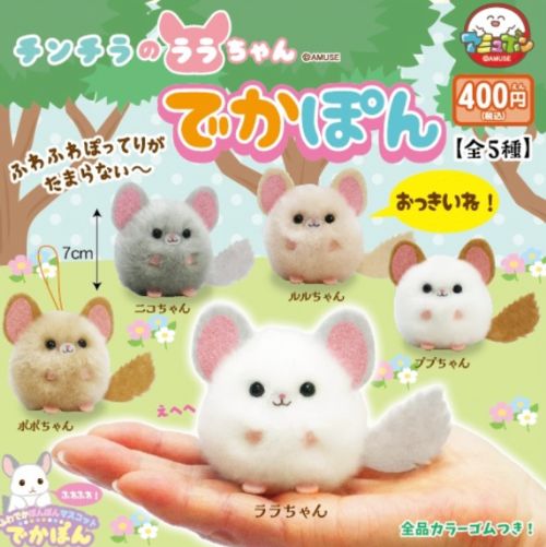 楽天市場】チンチラ の ララちゃん ぷきゅっぴー マスコット 全5