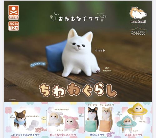 楽天市場】【12月発売予定】 ちわわぐらし 【全8種セット】 ※仮予約
