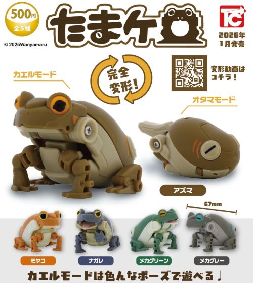 楽天市場】たまケロ 全5種セット【フルコンプリート/2026年01月発売