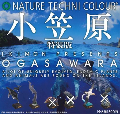 楽天市場】【即納品】南極 単品 ガチャ 送料無料 : ホビー雑貨のチャチャ