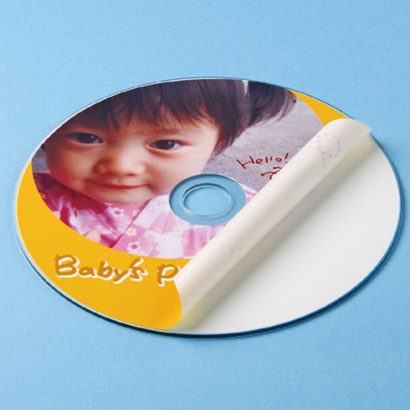 【10個セット】 サンワサプライ インクジェットDVD/CDラベル(内径24mm・マット) LB-CDR002NX10 [▲][AS]