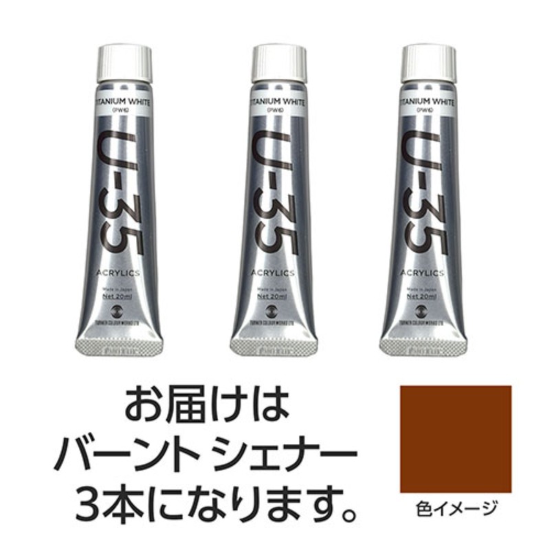 【3本×5セット】 ターナー色彩 U35 バーントシェナー20ml TURNER108692X5 [▲][AS]