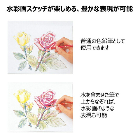 シャチハタ ファー突張りカステル 水彩外観鉛作文 60色仕掛ける シャチハタ しゃちはた 図案 作物 カット 水彩 筆 消しゴム 鉛筆削り お絵書き 鉛筆 おすすめ 書き味 Tfc Wcp 60c Sh Cannes Encheres Com