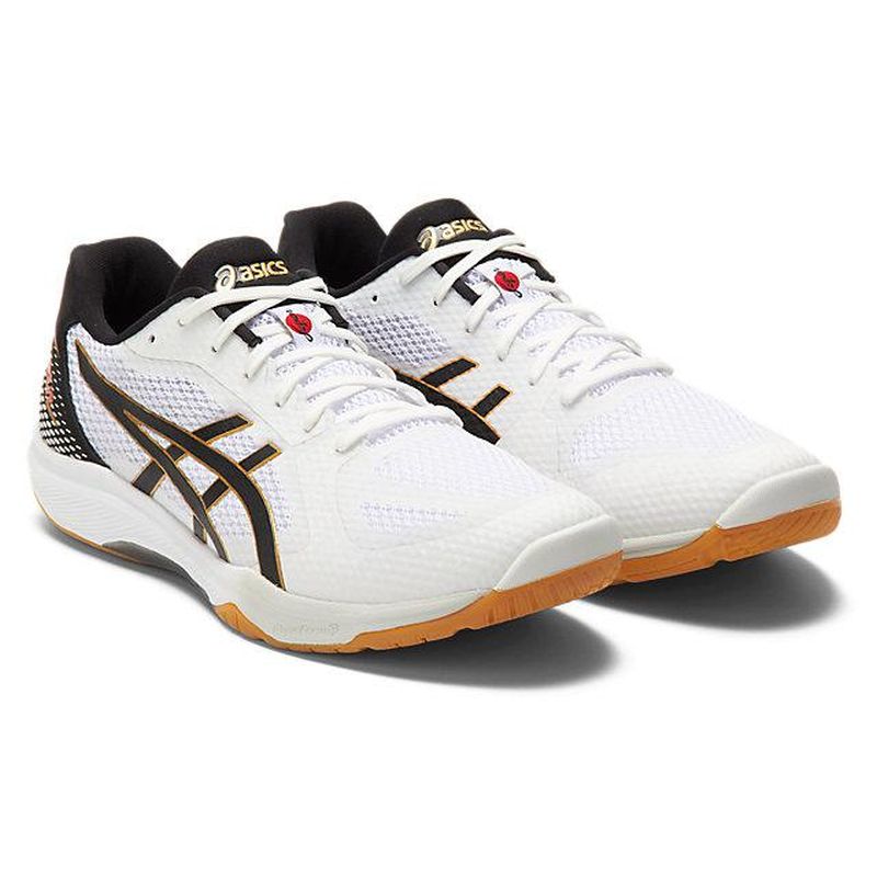ROTE JAPAN LYTE FF 2 103 W BK 28.0 バレーボール シューズ ユニ ZX 【大注目】