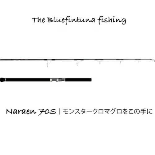 TRANSCENDENCE トランスセンデンス Naraen70S ナラエン70S｜HOBIS
