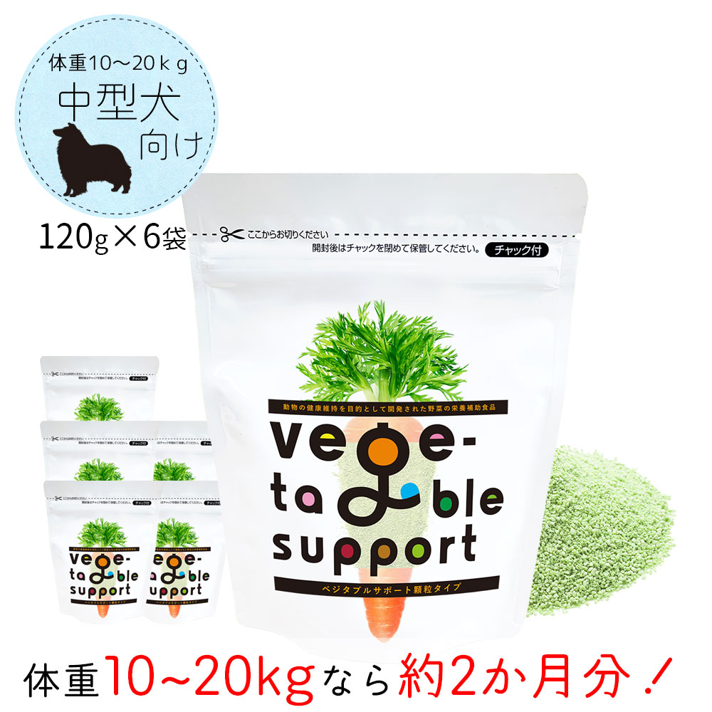 送料無料 楽天市場 送料無料 ベジタブルサポート 顆粒タイプ 1g 6個 健康維持用 ベジサポ ドッグフード 犬 おやつ サプリ サプリメント 野菜 ドクタープラス 肝臓 腸 栄養補助食品 ケンサポ 受賞店舗 Www Lexusoman Com