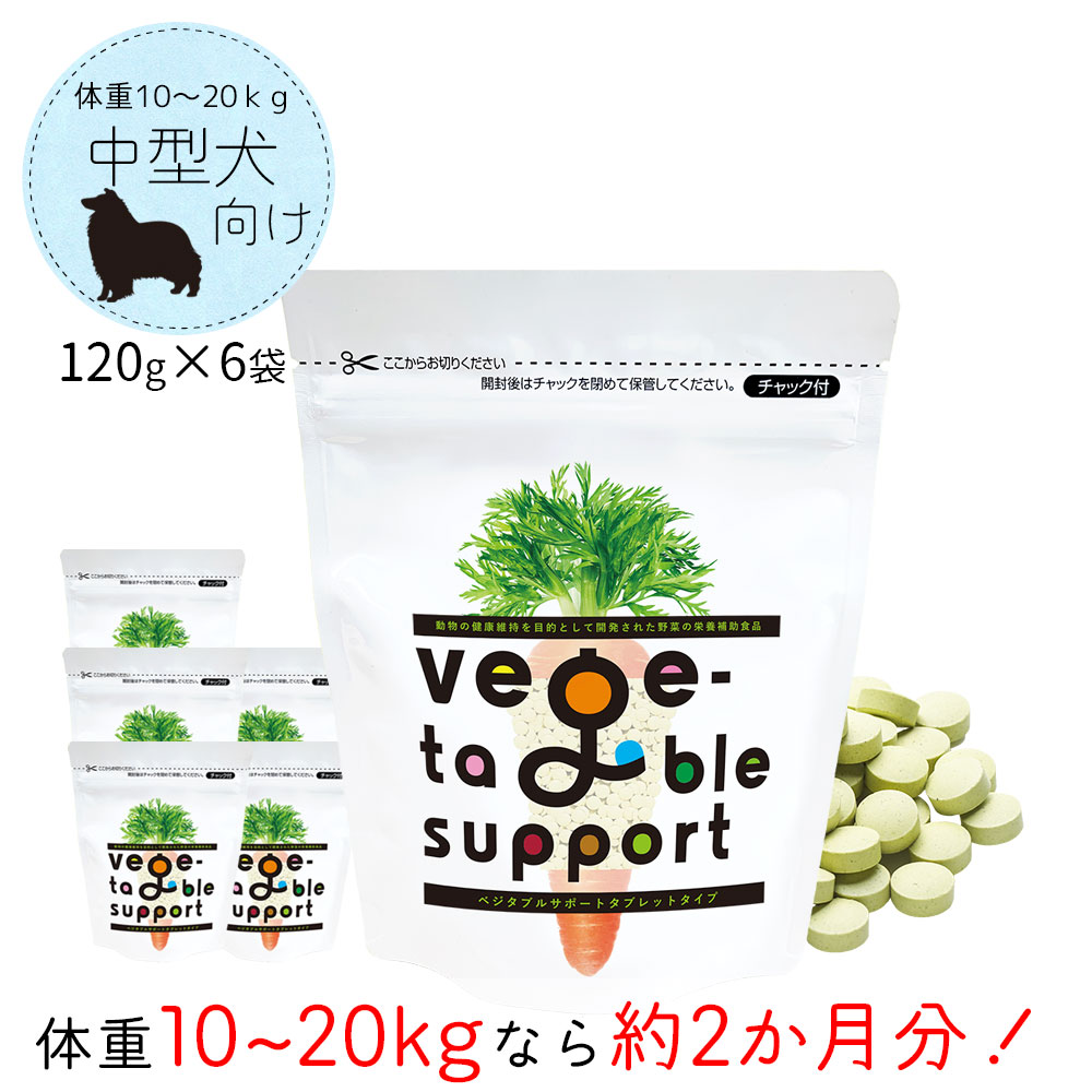 珍しい 楽天市場 送料無料 ベジタブルサポート タブレットタイプ 1g 6個 健康維持用 ベジサポ ドッグフード 犬 おやつ サプリ サプリメント 野菜 ドクタープラス 肝臓 腸 栄養補助食品 ケンサポ 新作モデル Lexusoman Com