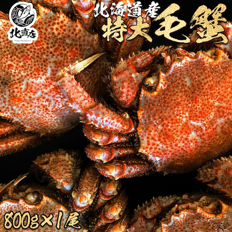 4504 kivi パープル　2009-2010 オリジナルのパープル　イッタラ 4504 kivi パープル 2009-2010 オリジナルのパープル イッタラ