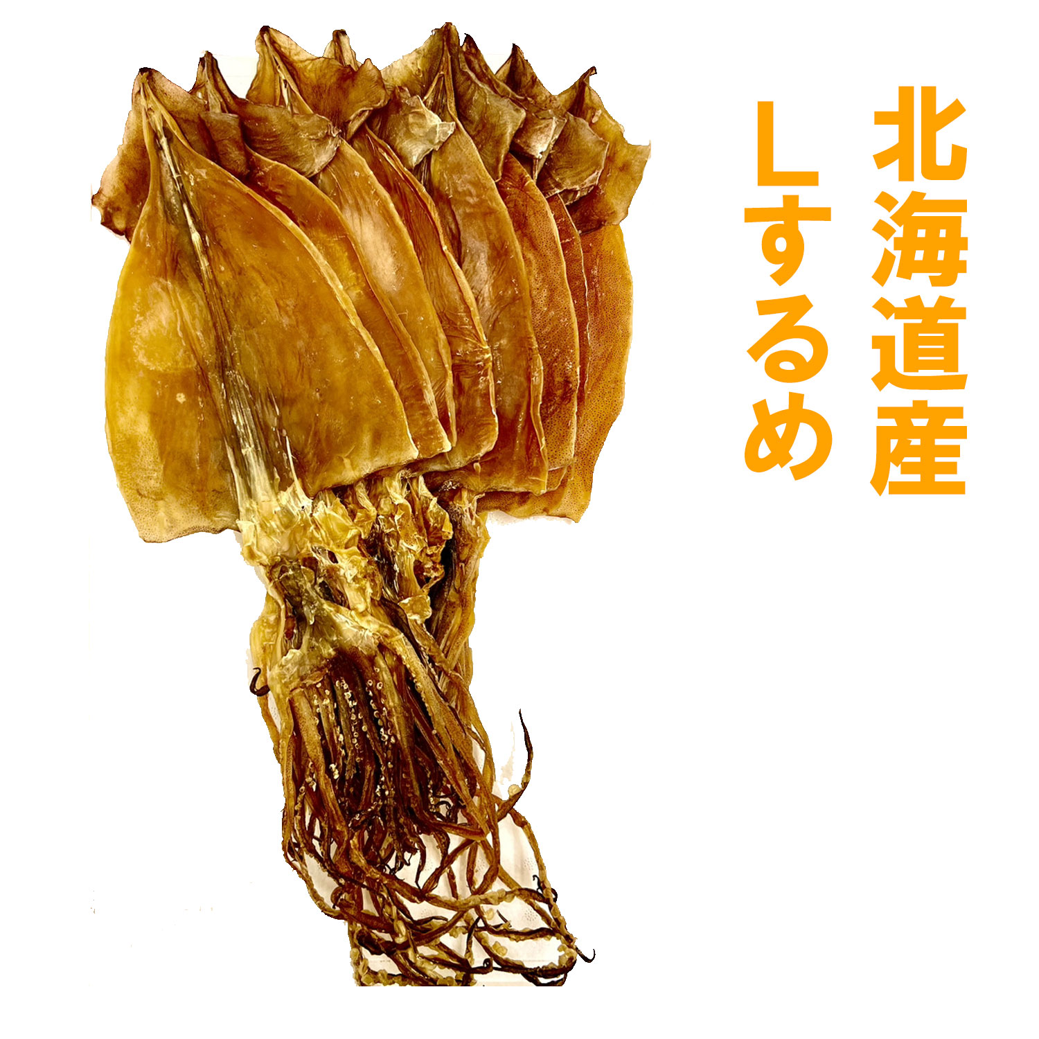 【国産　Lするめ1枚60～65g前後　10枚セット】北海道 するめ イカ いか おかず 簡単　贈り物  お返し 贅沢品  ギフト　お中元 贈り物 北海道海鮮 高品質 海鮮専門店