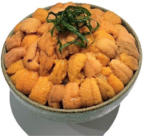 【ロシア産バフンウニ100ｇ×2】　蝦夷バフンウニ（塩水ウニ200ｇ）うに　ウニ　ばふんうに　バフンウニ 水産業界最安値に挑戦　ロシア産  贈り物 うに うに丼　ギフト 限定入荷数の為　日時指定不可 北海道海鮮 高品質 海鮮専門店