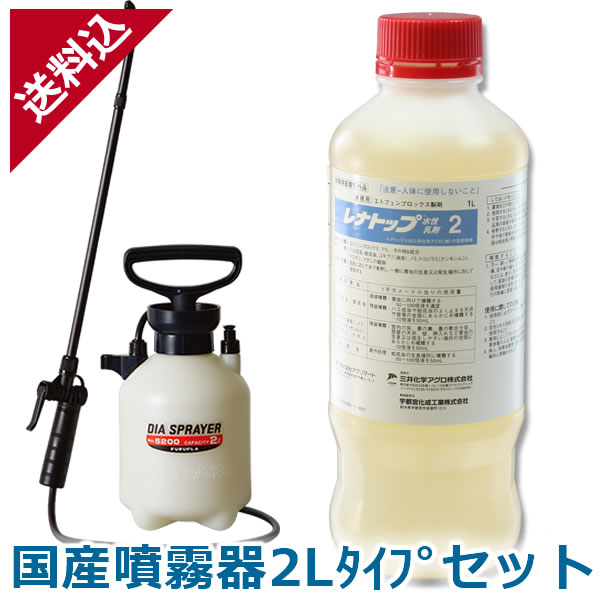 楽天市場】チャタテムシ駆除 キルノックG 420ml アリやキクイムシなど汎用性の高い業務用殺虫剤 クロアリ アリガタバチ シロアリ ヒラタキクイムシ  シバンムシ クモ シミ スプレー エアゾール : 豊栄薬品 楽天市場店