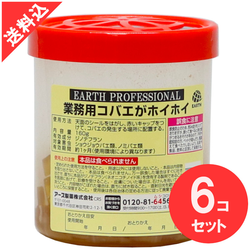 お役目用コバエがホイホイ×6個書き割り ショウジョウバエ 飲食店 大衆食堂 勝手もと 水抜き口 勝手もと 大型 そそり立てる剤入り口・入口 追いだし ジノテフラン アース製薬