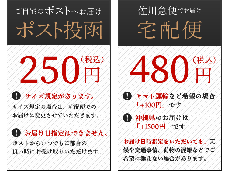 市場 コランコラン fita S-guard colancolan Sガード フィタ 静電気除去ブレスレット